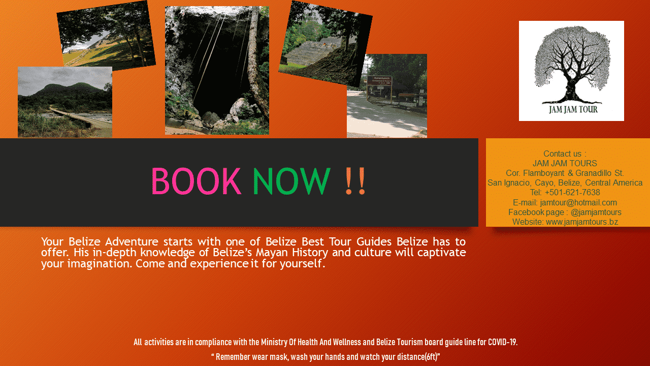 Book Now