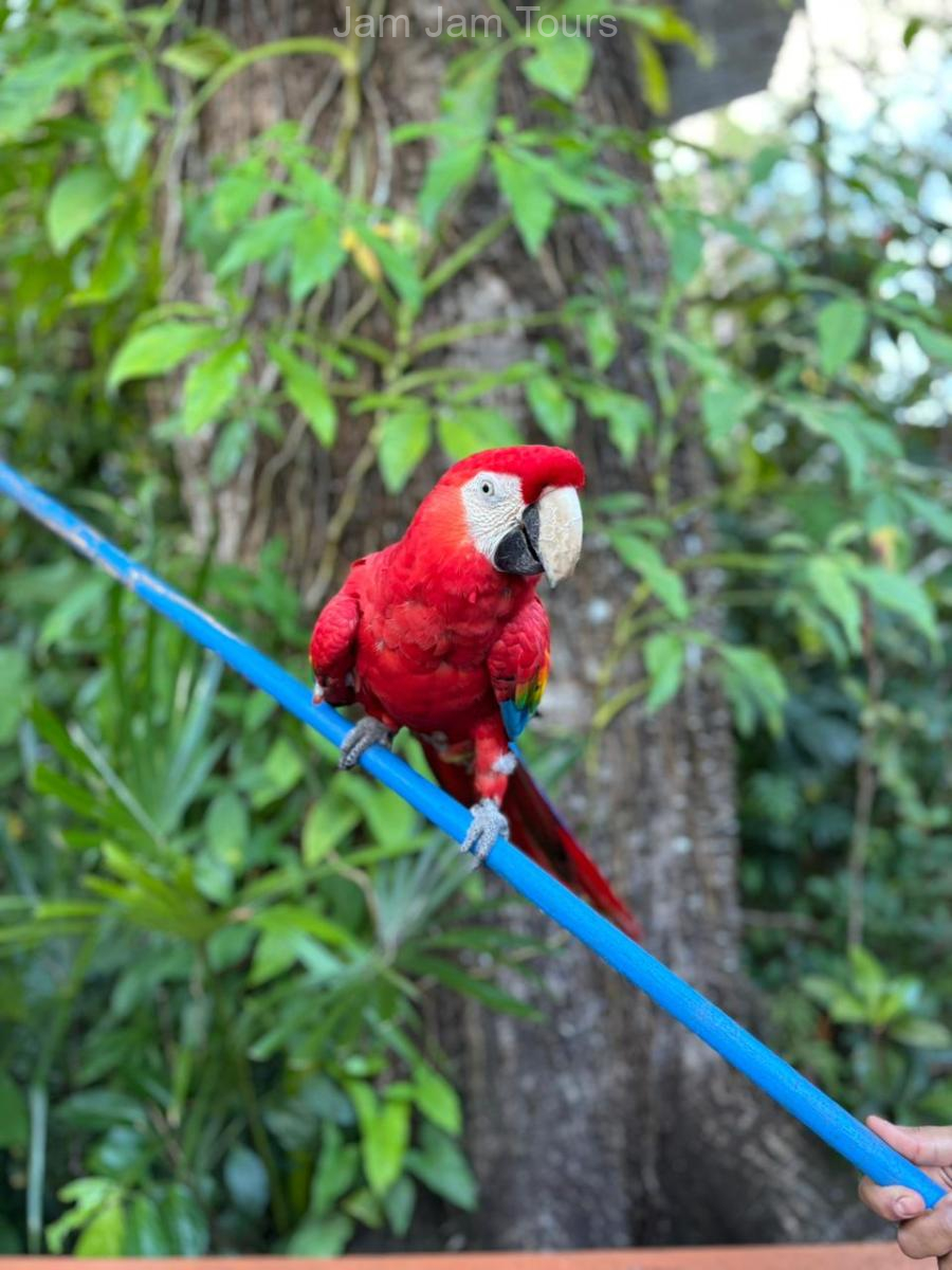 zoo1