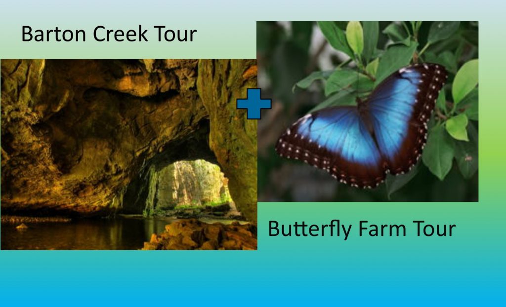 Barton Creek & Butterfly farm Tour Jam Jam Tours