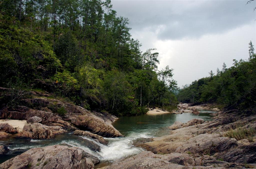 Mountain Pine Ridge Tour Jam Jam Tours