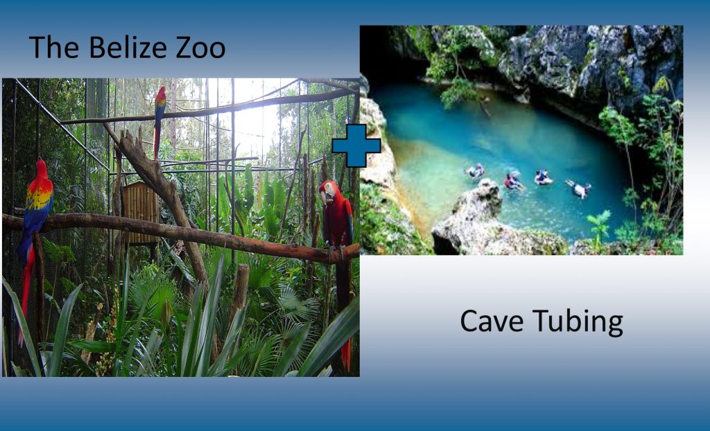 Belize Zoo & Cave Tubing Tour Jam Jam Tours