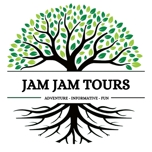 JAM JAM TOURS